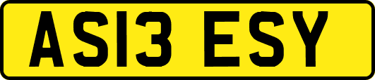 AS13ESY