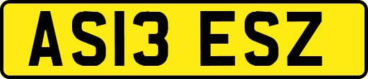 AS13ESZ