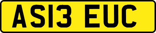 AS13EUC