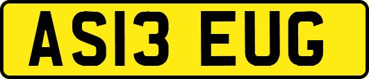 AS13EUG