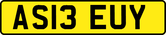 AS13EUY