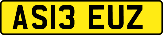 AS13EUZ