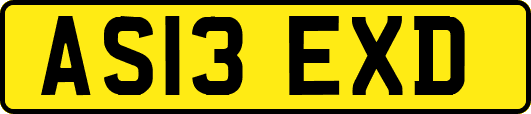 AS13EXD
