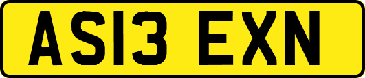 AS13EXN
