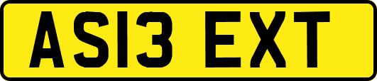 AS13EXT