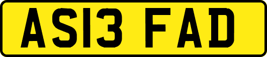 AS13FAD