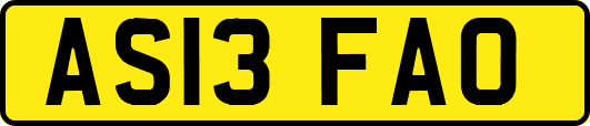 AS13FAO