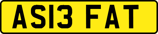 AS13FAT