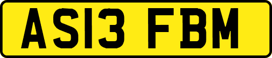 AS13FBM