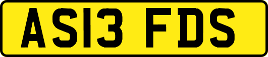 AS13FDS