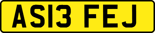 AS13FEJ