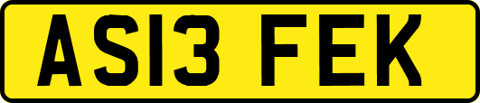 AS13FEK