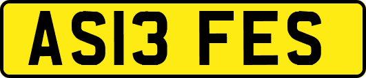 AS13FES