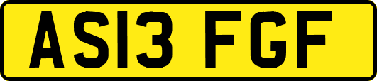 AS13FGF