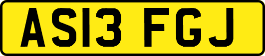 AS13FGJ