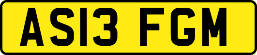 AS13FGM