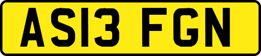 AS13FGN