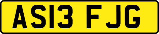 AS13FJG