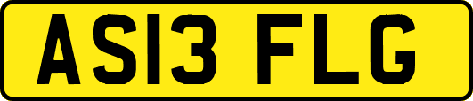 AS13FLG