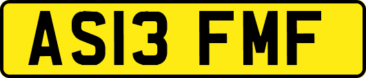 AS13FMF