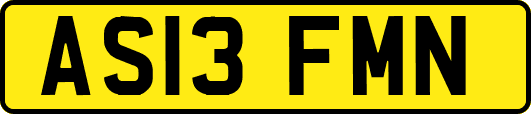 AS13FMN