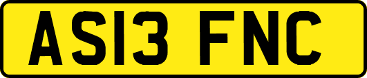 AS13FNC
