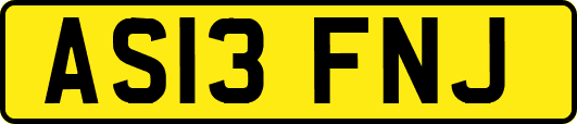 AS13FNJ