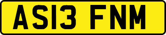 AS13FNM