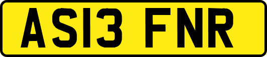 AS13FNR