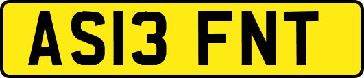 AS13FNT