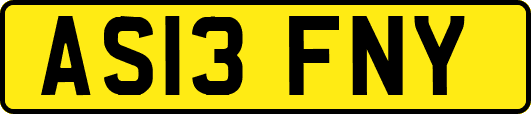 AS13FNY