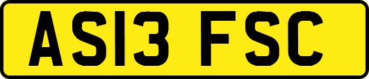AS13FSC