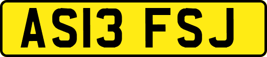 AS13FSJ