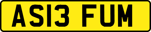 AS13FUM
