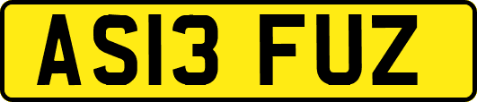 AS13FUZ