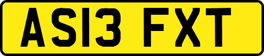 AS13FXT