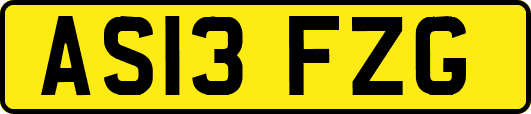 AS13FZG