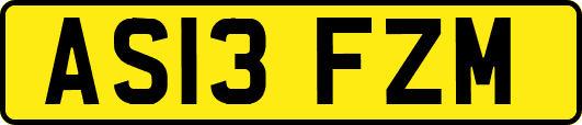 AS13FZM