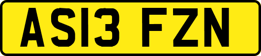 AS13FZN