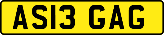 AS13GAG