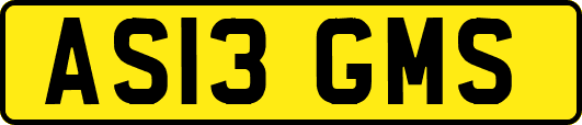 AS13GMS