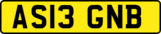 AS13GNB