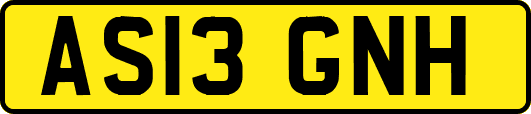 AS13GNH