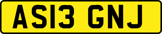 AS13GNJ