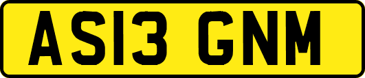 AS13GNM