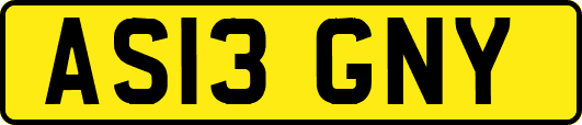 AS13GNY