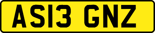 AS13GNZ