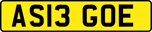AS13GOE
