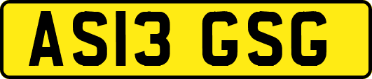 AS13GSG