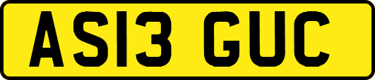 AS13GUC